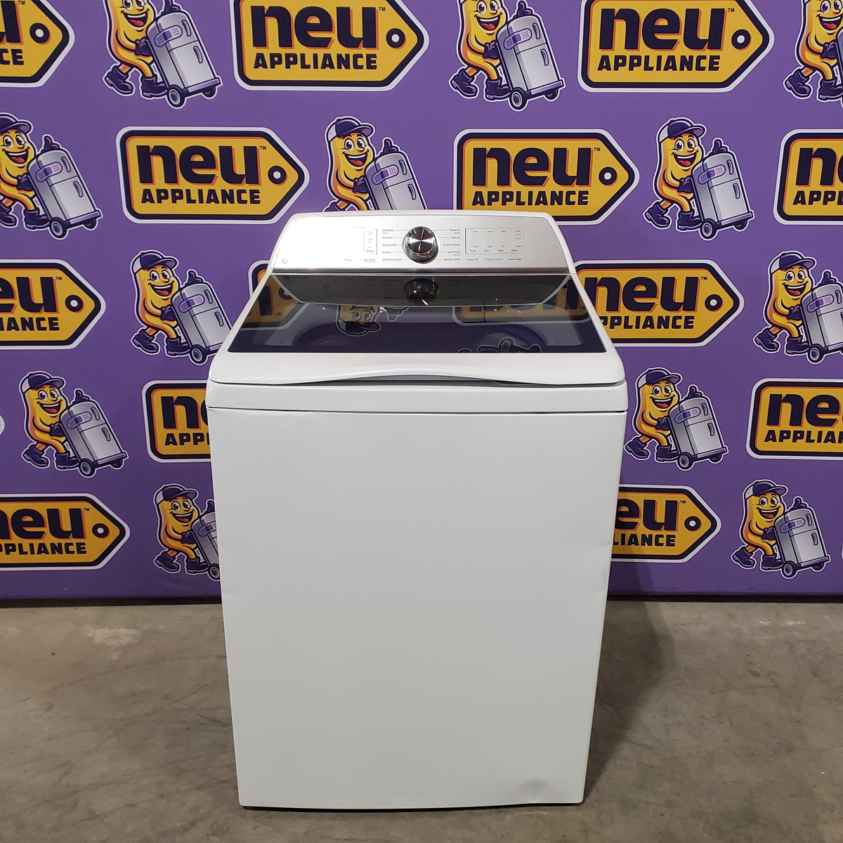 GE Profile 5.0 cu. ft. High-Efficiency ENERGY STAR Smart Top Load Washer in White with Microban Technology 22136SD251 - PTW600BSRWS - Scratch & Dent (Minor)