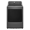 LG 7.3 cu. ft. Ultra Large High Efficiency Electric Dryer in Monochrome Grey 24SD13 - DLE6100M - Scratch & Dent (Minor)