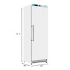 Pictures of Koolmore 12 Cu. ft. Commercial Reach in Freezer in White Manual Defrost KM-FMD12WH - Scratch & Dent (Minor) - Neu Appliance Outlet - Discount Appliance Outlet in Austin, Tx